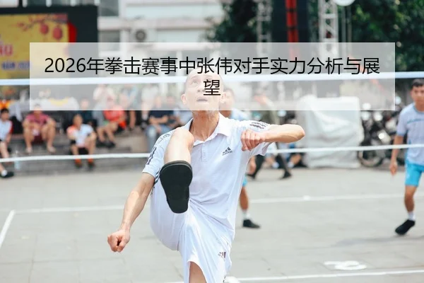 2026年拳击赛事中张伟对手实力分析与展望