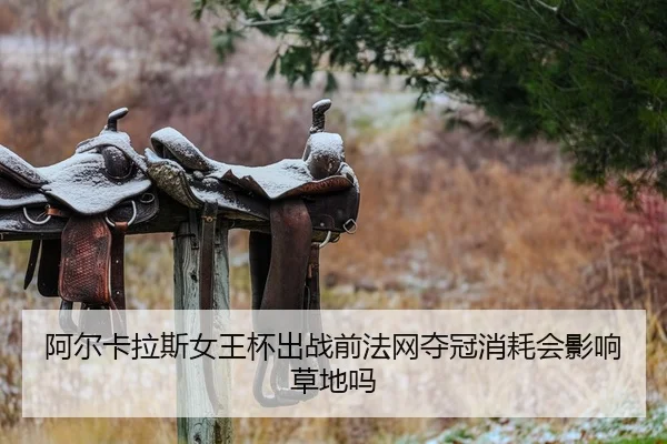 a-er-ka-la-si-nv-wang-bei-chu-zhan-qian-fa-wang-duo-guan-xiao-hao-hui-ying-xiang-cao-di-ma-2-321.jpg