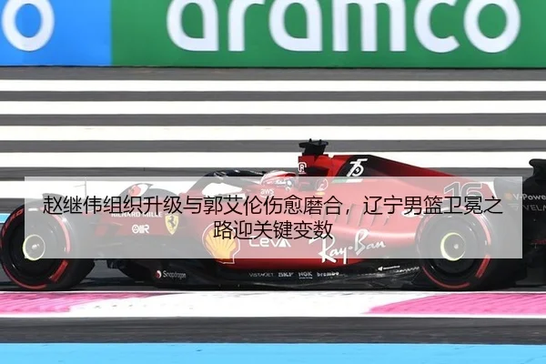 zhao-ji-wei-zu-zhi-sheng-ji-yu-guo-ai-lun-shang-yu-mo-he-liao-ning-nan-lan-wei-mian-zhi-lu-ying-guan-jian-bian-shu-2-918.jpg