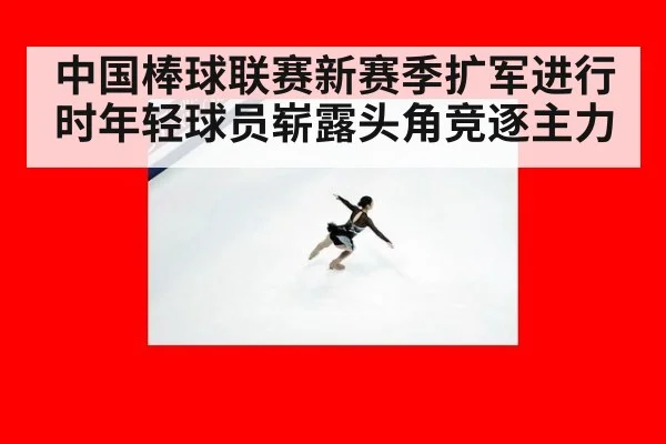 中国棒球联赛新赛季扩军进行时年轻球员崭露头角竞逐主力