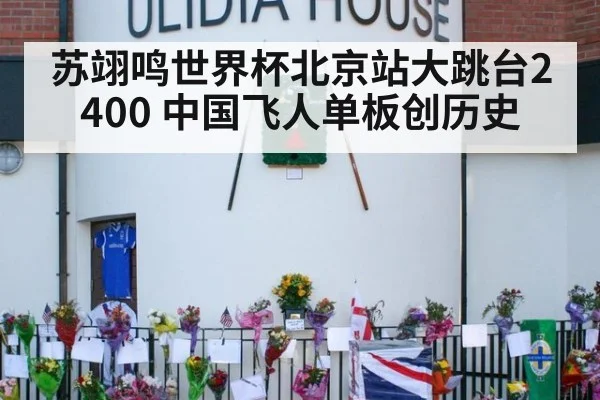 苏翊鸣世界杯北京站大跳台2400 中国飞人单板创历史